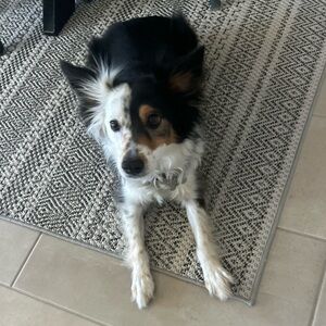 Meet your Posher, SK